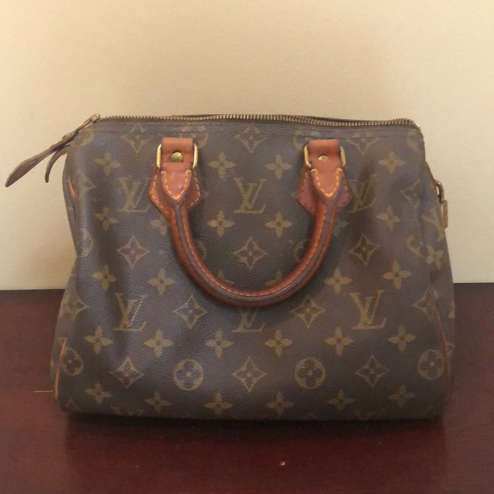 Louis Vuitton Small Speedy Hand Bag